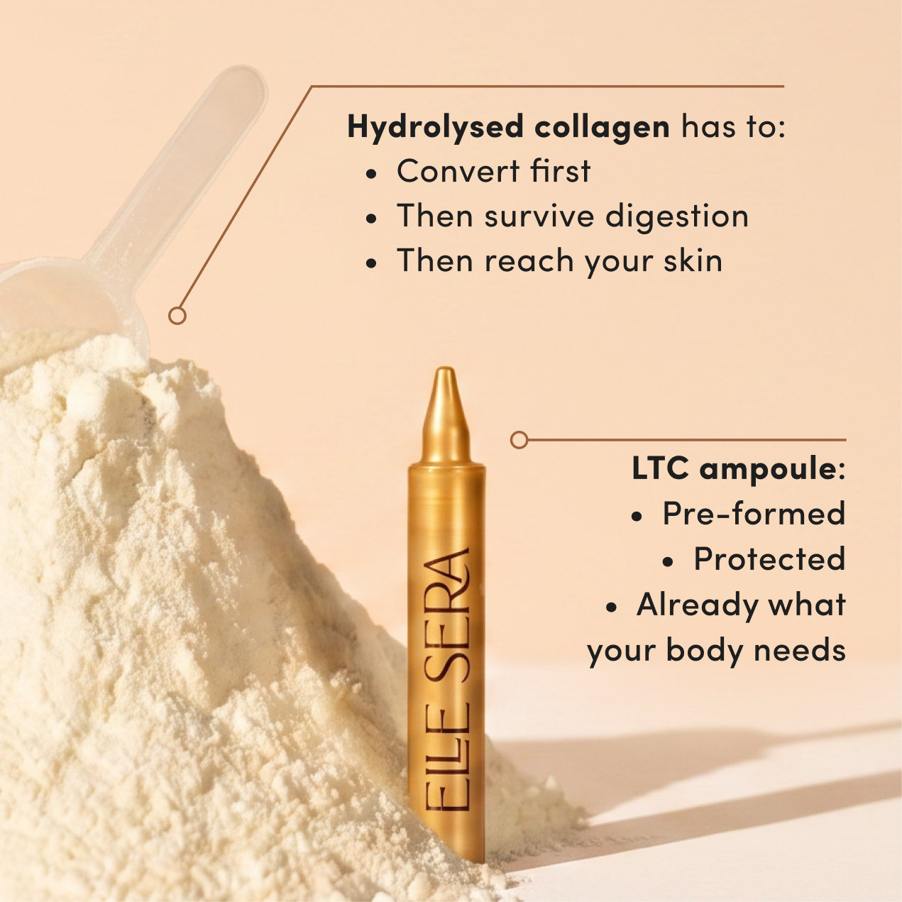 Liposomal Tripeptide Collagen
