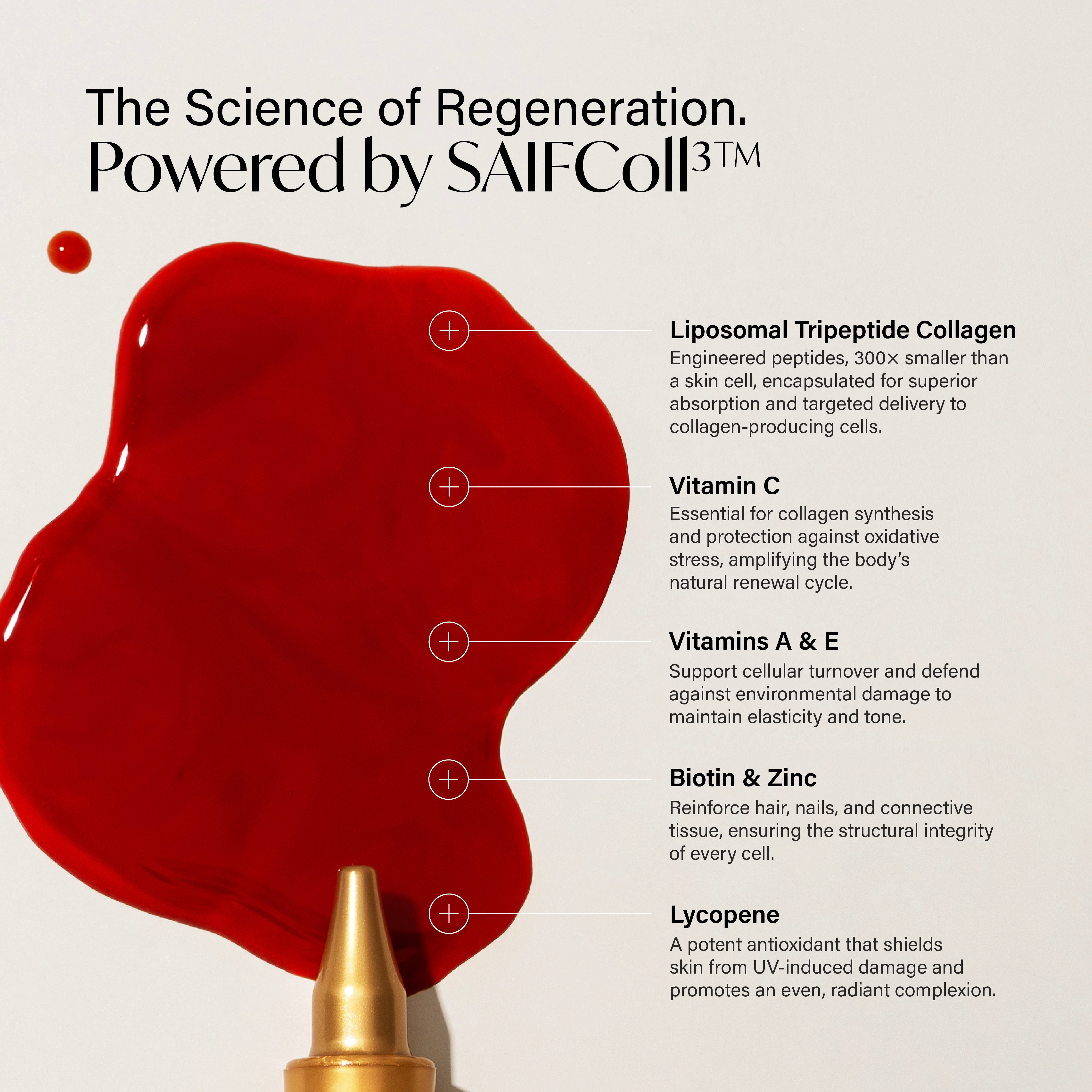 Liposomal Tripeptide Collagen