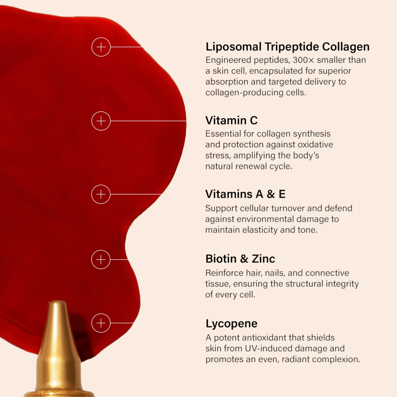 Liposomal Tripeptide Collagen