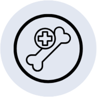 Bone Health