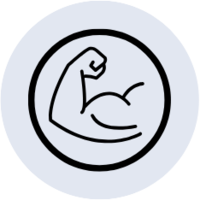 Muscle Function