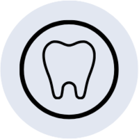 Normal Teeth